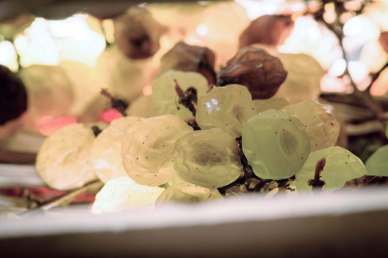 Vignoble Technique Vin de paille VDP-0023